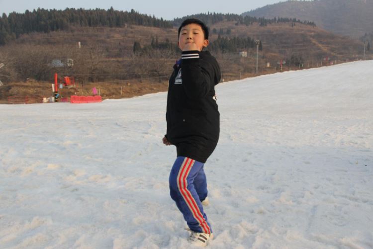 賈智文