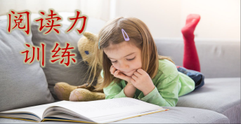 閱讀力訓(xùn)練
