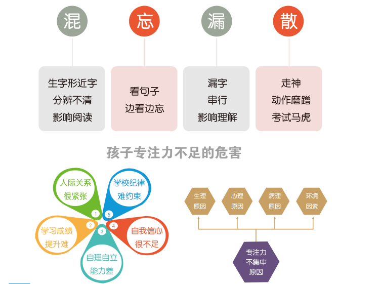 專注力1.png