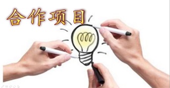 合作項(xiàng)目