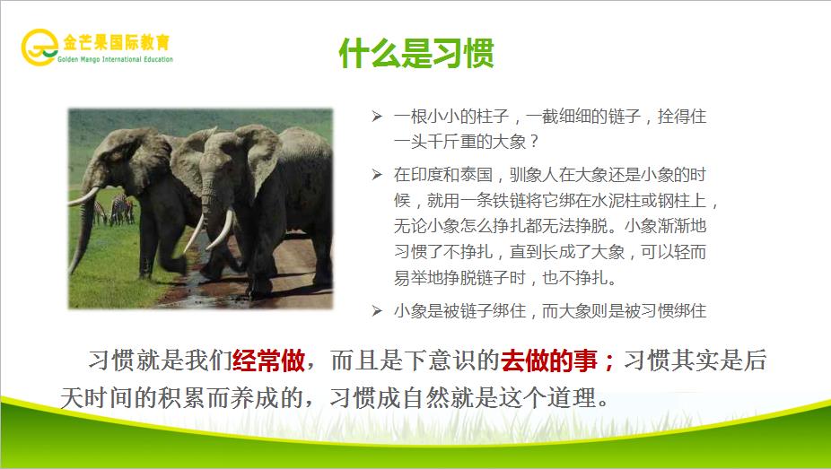 什么是習(xí)慣.jpg