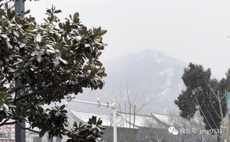 微信圖片_20190222103826.jpg
