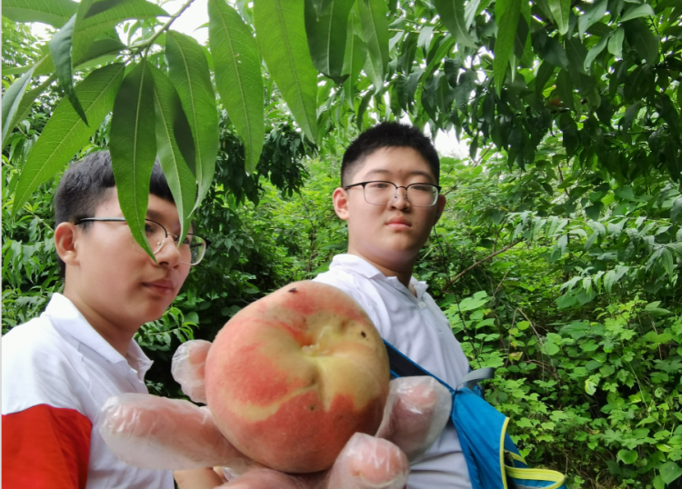 微信圖片_20201030110448.png
