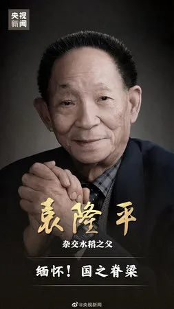 金芒果教育|袁老雖然走了，但那顆星還在……